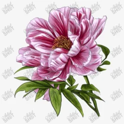 Peony Flower Illustrations Ladies Fitted T-Shirt -TeeMuse Store d.2510174194.24945598.s3.1 f6f6f6 YXJ0aXN0c2hvdA 800x800 1