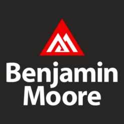 Benjamin Moore Ladies Fitted T-Shirt -TeeMuse Store d.2526211011.25084599.s3.1 272624 bm9uZQ 800x800 1