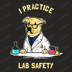 Practice Lab Safety Ladies Fitted T-Shirt -TeeMuse Store d.2526858899.25079453.s3.1 272624 VG9tQXJ0 800x800 1